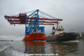 Zhen Hua 27 051119-45.jpg