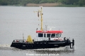 Pirol 120515-01.jpg