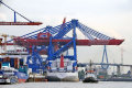 Zhen Hua 8 190908-25.jpg