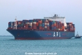 APL New York TL-200322-4.jpg