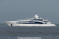 Idynasty (KK-130615-0).jpg