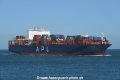 APL Phoenix OS-210820-07.jpg