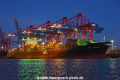 APL Norway 010920-03.jpg