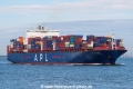 APL New York SH-240722-01.jpg