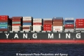 Yangming-Logo TL-151009.jpg