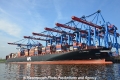 APL Qingdao 070513-02.jpg