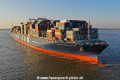 CMA CGM Georg Forster KH-111018-4.jpg