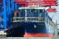 CMA CGM Georg Forster 100715-06.jpg