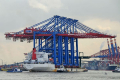 Zhen Hua 8 190908-16.jpg