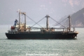 King Ace MS-121004-01.jpg