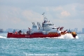 Red Sailfish OS-091019-01.jpg