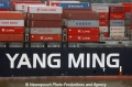 Yang Ming Logo 13805.jpg