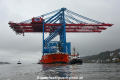 Zhen Hua 27 051119-46.jpg