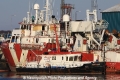 Harle Echo (JS-200113-01).jpg