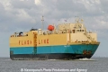 Royal Ray (MS-070407-06).jpg