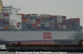 OOCL-COSCO 84041.jpg