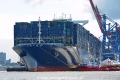 CMA CGM Georg Forster 090715-49.jpg