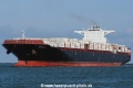 Maira XL SH-240821-01.jpg