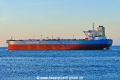 Twin Pollux (OK-240825-4).jpg