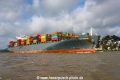 Mataquito 071020-13.jpg