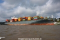 Mataquito 071020-15.jpg