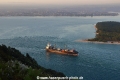 Moana Chief JP-041219-07.jpg