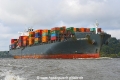 Mataquito 071020-05.jpg