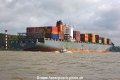 Mataquito 071020-20.jpg