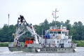 Navicula Star (OK-250726-1).jpg