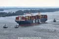 MSC Regulus 111023-01.jpg