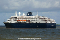 Minerva (OK-230513-1).jpg