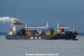MSC Amy (KK-070521-0).jpg