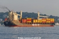 MSC Ada F (OK-110924-6).jpg