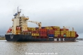MSC Abigail F (OK-191224-3).jpg