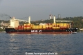 MSC Ada F (OK-110924-3).jpg