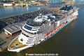 MSC Euribia (KB-D081023-02).jpg