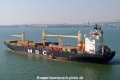 MSC Floriana (LW-061014-17).jpg