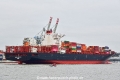 Mexico Express (KB-D101224-07).jpg