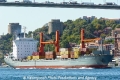 MSC Equator (LW-120911-02).jpg