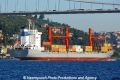 MSC Equator (OK-090711-2).jpg