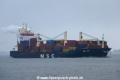 MSC Amy KH-030221-2.jpg