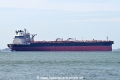 Maran Mira OS-231025-14.jpg