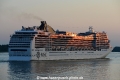 MSC Magnifica 020614-32.jpg