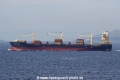 MSC Naisha 3 (JS-210921-02).jpg
