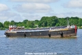 Northern King (OK-100726-0).jpg