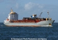 Sea Pearl (JG-011005-1).jpg