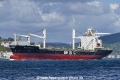 MSC Masha 3 (OK-200918-0).jpg