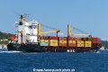 MSC Talia F (OK-060917-2).jpg