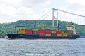 MSC Turin II (OK-130823-1).jpg