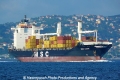MSC Lucia (OK-140711-0).jpg